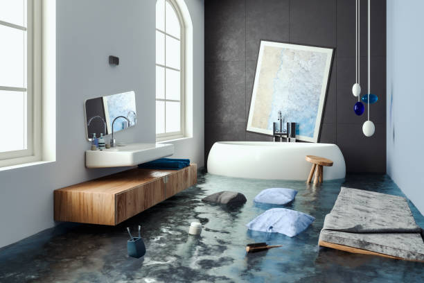 Best Flooded house restoration  in Morton, IL