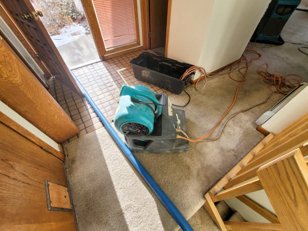 Best Water damage contractors near me  in Morton, IL