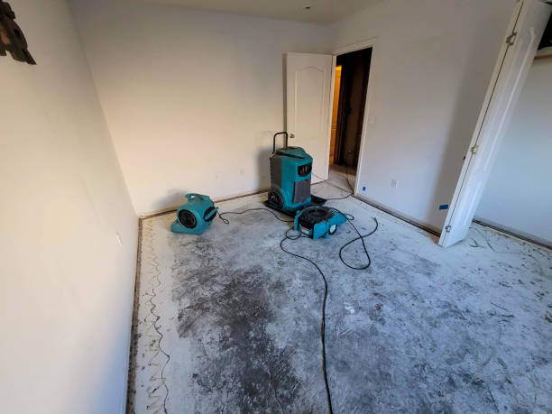 Best Fire Damage Restoration  in Morton, IL