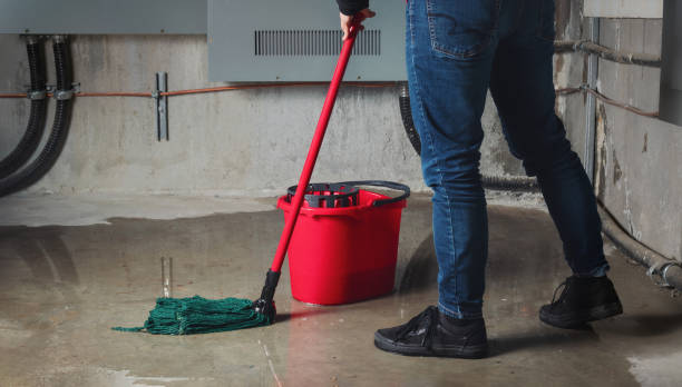 Professional Water damage restoration in Morton, IL