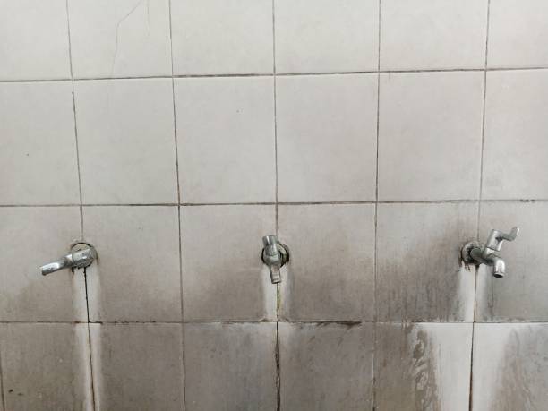 Best Water damage restoration company  in Morton, IL