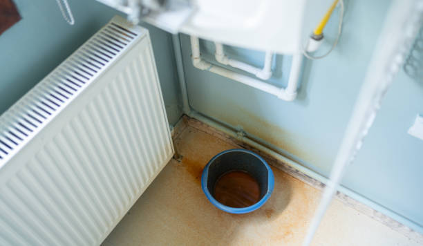 Best Ceiling water damage repair  in Morton, IL