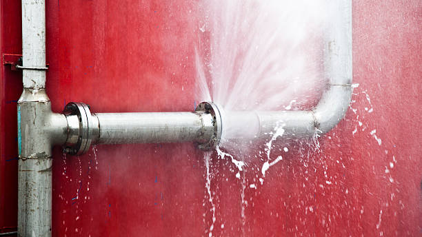 Best Local water damage restoration  in Morton, IL